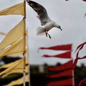 IMG_2168.jpeg