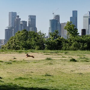 canarywharf_greenwich-3.jpg