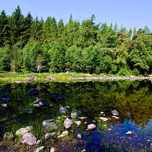 DSC06178Ambleside 2023 Blea Tarn 5.jpg