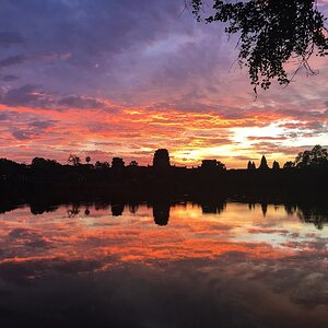 IMG_8892.jpeg