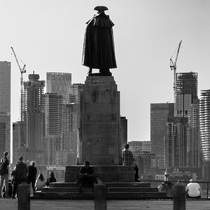 wolfe_bw-1.jpg