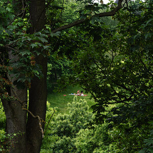 the picnic-4.jpg