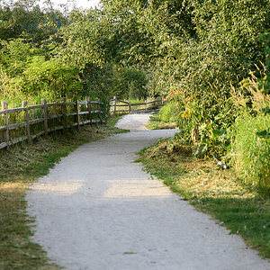 A1_04946.jpg