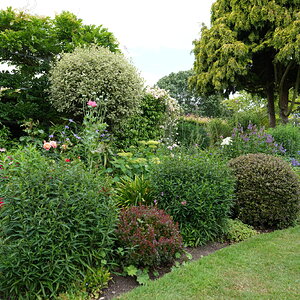 DSC07151.JPG