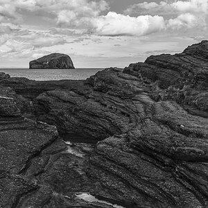 Bass Rock Cradle.jpg