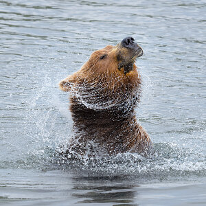 _A1_8191-ARW_DxO_DeepPRIME-Edit.jpg