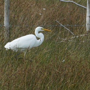 greategret.jpg