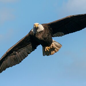 466D6118-23C3-40C8-996F-B2F632A5BDBA.jpeg