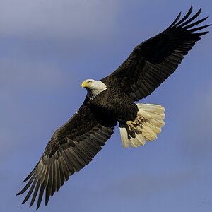 8651DD3F-6343-469D-877C-45ABC8DC802D.jpeg