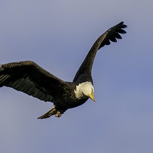0CA68505-98E7-4C44-993E-A7DEE91BA337.jpeg