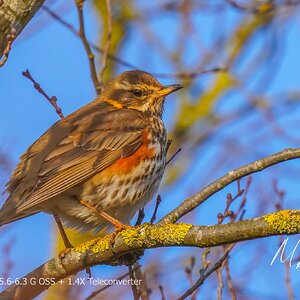 A7R02107-Edit fbOL.JPG