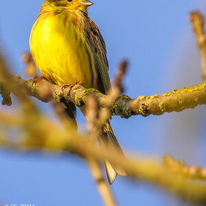 A7R02224-Edit fbOL.JPG