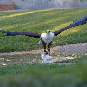 _DSC3825-stabiliz.jpeg