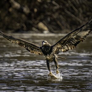 815ADEC0-C18D-49EF-9E38-CA20CAA25BBB.jpeg
