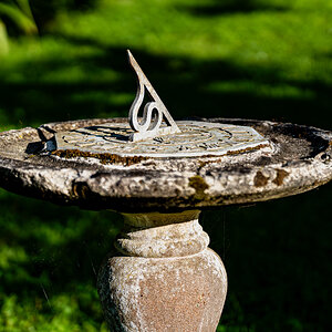 newforest_pig_sundial-1.jpg