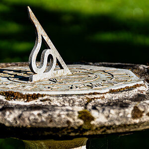 newforest_pig_sundial-3.jpg