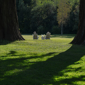 newforest_pig_goodlife-1_edited.jpg
