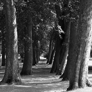 DSC07043Bishopwearmouth Cemetary 2.jpg