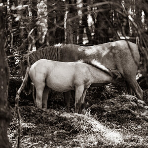 mother and child_bw-2.jpg