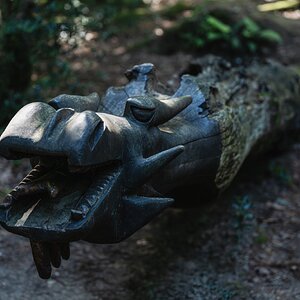 newforest_dragon-1.jpg