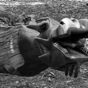 newforest_dragon-2.jpg