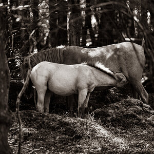 mother and child_bw-13.jpg