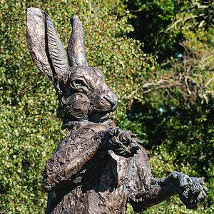 newforest rabbit-1.jpg