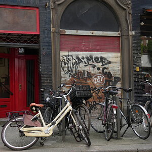 DSC04488.JPG
