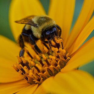 Bee - Home - 10032023 - 05- DN.jpg