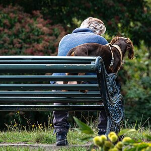 man and dog-1.jpg