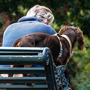 man and dog-2.jpg