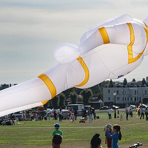 blackheath_kite_day-5.jpg