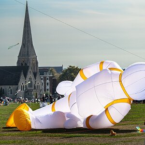 blackheath_kite_day-7.jpg