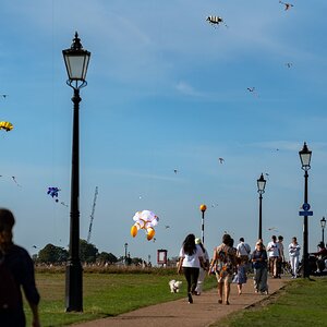 blackheath_kite_day-10.jpg