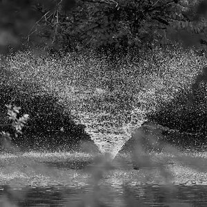 fountain_BW_IR-5.jpg