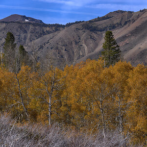 Mountain Color copy.jpg
