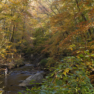 20231023-DSC09354.jpg