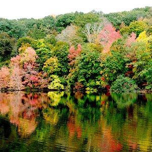 Fall colors A9_04020.jpg