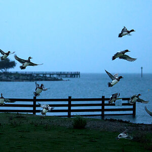 A1_02793.jpg