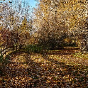 A7409450_Panorama.jpg