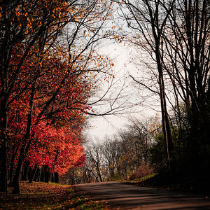 _DSC8877.jpg