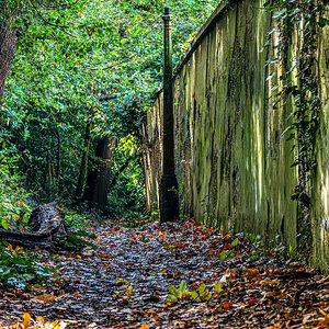 autumn_path_oxleyswood_hdr-3_edited.jpg