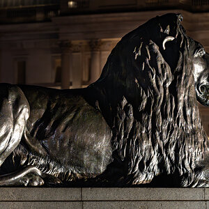 london_traf_square_lion_bw-8.jpg