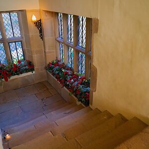 haddon hall 2023 13.jpg