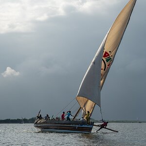 SGM07314.jpg
