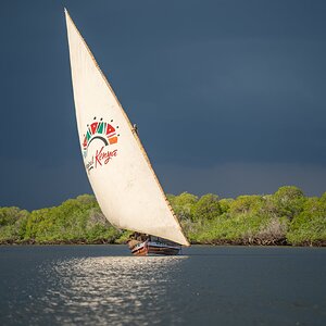 SGM07332.jpg