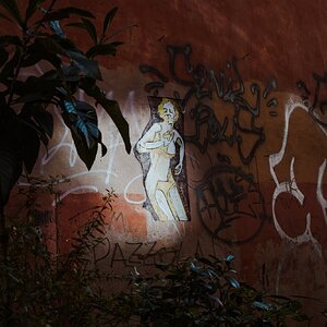 A7C01519 (1).jpg