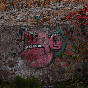 A7C01534.jpg