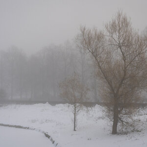 DSC00730.jpg