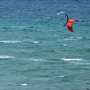 Kites 1 r.jpg